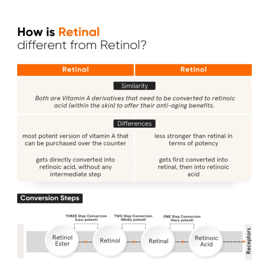 Minimalist Vitamin K + Retinal 01% Under Eye Cream 14 gm