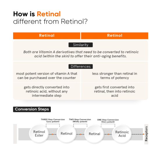 Minimalist Vitamin K + Retinal 01% Under Eye Cream  14 gm